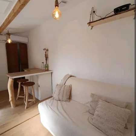 Petit Studio بورنيك